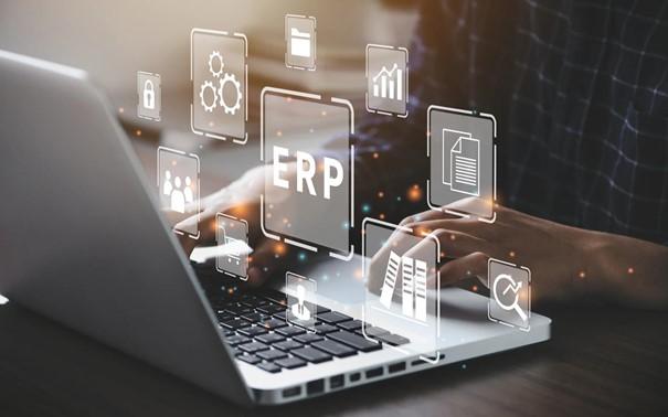 Business Analyst ERP und Umsysteme 80-100% (m/w/d)